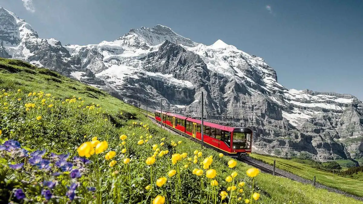 Tour group with a live guide riding the cable car toward Jungfraujoch above Lauterbrunnen