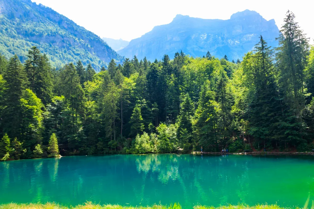 Blausee, a small deep blue alpine lake near Lauterbrunnen in Switzerland